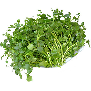 XÀ LÁCH XOONG 300G