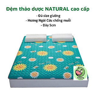 Đệm thảo dược hương Ngải cứu NATURAL cao cấp