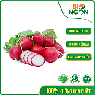 Củ cải đỏ ( Hộp 250g)