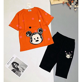 ĐỒ BỘ MẶC NHÀ NỮ QUẦN LỬNG ÁO THUN