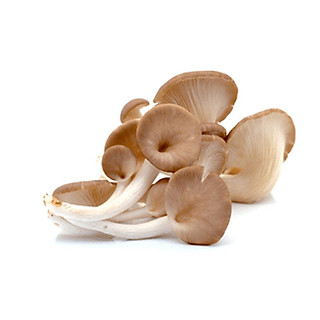 Nấm bào ngư xám - 200g