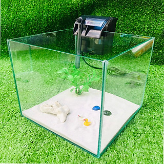 Bể cá cubic20cm - combo - bể cá mini