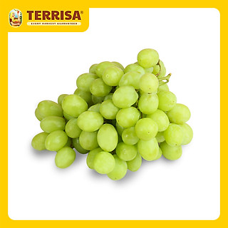 Nho Xanh Mỹ- Autumn King ( 500 g)