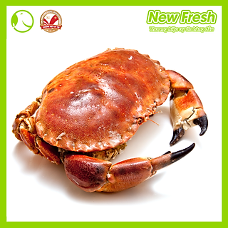 Cua nâu Nauy siêu nhiều gạch béo ngậy , thịt thơm ngọt ít tanh đông lạnh size lớn 600-800 gram/con