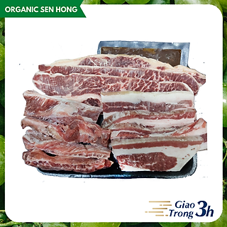 Set bò Mỹ nướng BBQ số 2 950gr ( Ba chỉ bò Mỹ, Sườn bò Mỹ, Dẻ sườn bò Mỹ và sốt ướp BBQ Á) được bán bởi Organic Sen Hồng - giao nhanh 3h