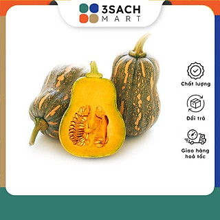 Bí Đỏ Hồ Lô Hữu Cơ (600-700g/trái)