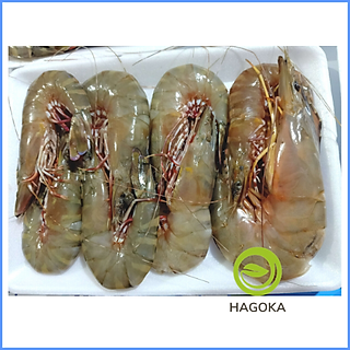 500gr TÔM THẺ BIỂN (loại 15 con trở lên)