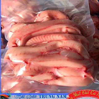 Cá Mút Đá ( Cá Ninja )