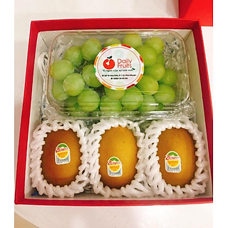 Hộp quà trái cây cao cấp nhỏ  - QTTCN1