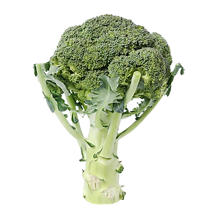 Bông Cải / Súp Lơ Xanh 1KG