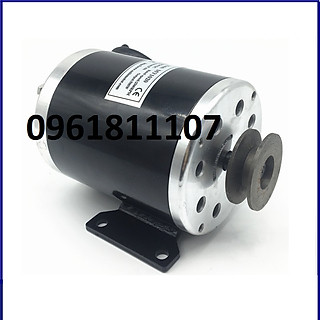 Motor 24V 500W độ kèn hơi các loại