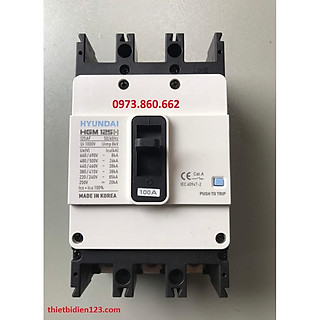 Aptomat Hyundai MCCB 3P HMG125H 100A -250A