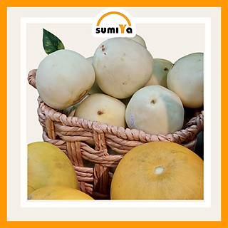 Giỏ lục bình đa năng có quai, đựng đồ dùng