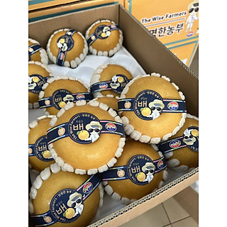 Lê Hàn Quốc 1 Quả- set 2 quả