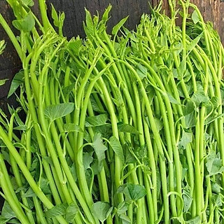 Hạt giống rau muống siêu ngọn - gói 10gram