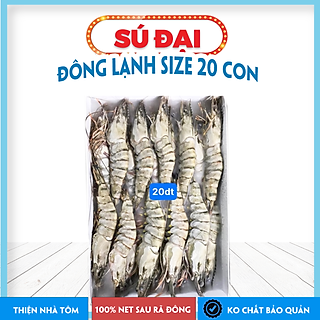 Tôm Sú Size Đại Đông Siêu Tốc Thiện Nhà Tôm Hộp Lớn - Size 20 con/kg