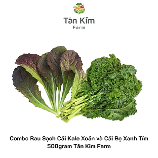 Combo Rau Sạch Cải Kale Xoăn và Cải Bẹ Xanh Tím 500gram Tân Kim Farm