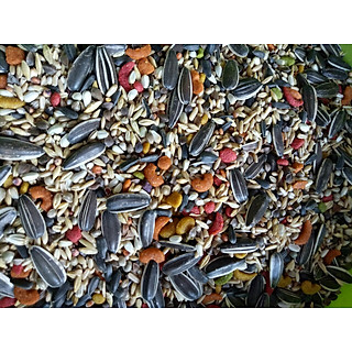 1KG HẠT TRỘN KÈM HẠT TRÁI CÂY CHO VẸT XÁM CHÂU PHI, COCKATOO...