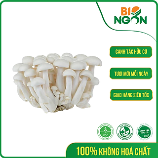 Nấm ngọc châm trắng ( Linh chi trắng - Hộp 150g)