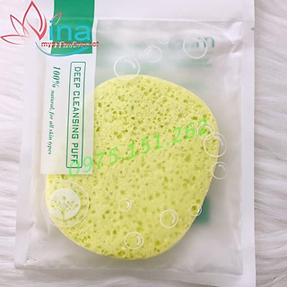 BÔNG BỌT BIỂN TẨY TẾ BÀO CHẾT MIRA CULOUS