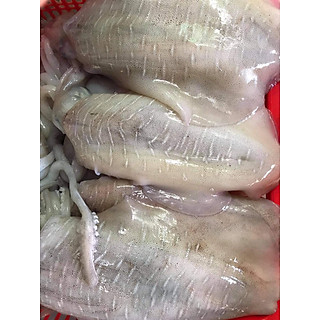 Mực lá tươi size đặc biệt (1 con/kg)