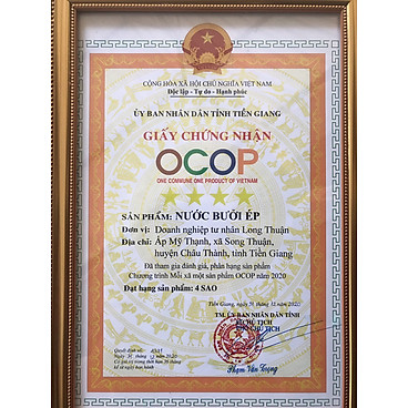 Mua Nước Ép Bưởi tại BƯỞI LONG THUẬN