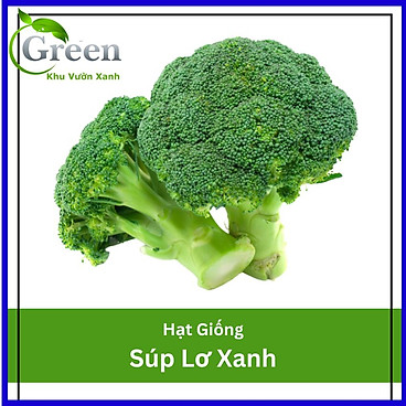 Hạt Giống Bông Cải Xanh (Súp Lơ Xanh)