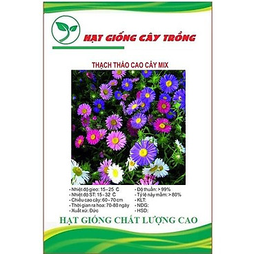 Hạt giống hoa cúc thạch thảo cao mix màu CT399 - Gói...