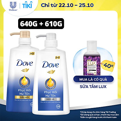 Combo Dove Phục Hồi Hư Tổn Dầu Gội 640g + Kem Xả 610g