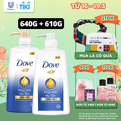 Combo Dove Phục Hồi Hư Tổn Dầu Gội 640g + Kem Xả 610g