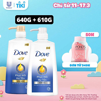 Combo Dove Phục Hồi Hư Tổn Dầu Gội 640g + Kem Xả 610g