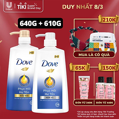 Combo Dove Phục Hồi Hư Tổn Dầu Gội 640g + Kem Xả 610g