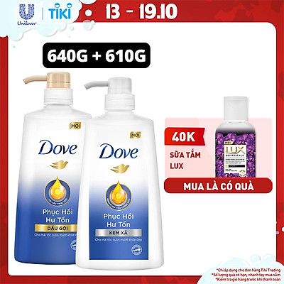 Combo Dove Phục Hồi Hư Tổn Dầu Gội 640g + Kem Xả 610g