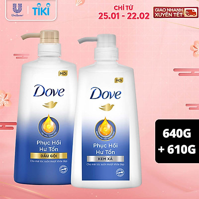 Combo Dove Phục Hồi Hư Tổn Dầu Gội 640g + Kem Xả 610g