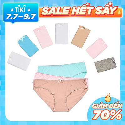 Combo 06 quần lót nữ cotton Vera 