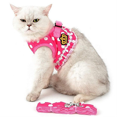 cat chest harness