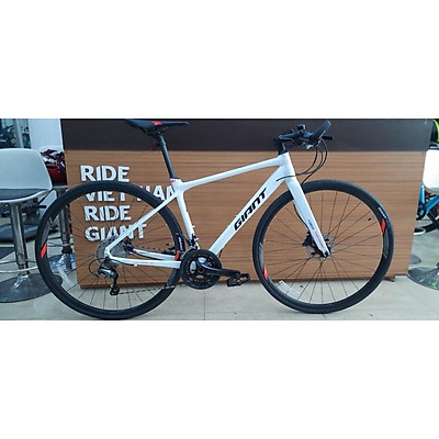 Xe đạp GIANT FASTROAD SL1 2019 - Trắng 