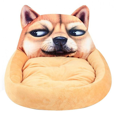 cute puppy bed