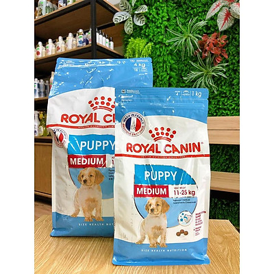 royal canin medium