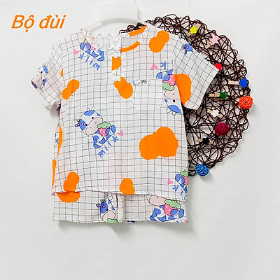 Bộ tole quần đùi bé trai 14-15kg