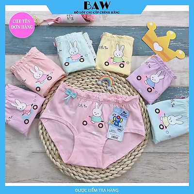 Quần Chip Bé Gái, Combo 5 Quần Lót Lưng Thun Cho Bé, Quần Lót Cotton Họa Tiết Đáng Yêu Xinh Xắn Cho Bé Gái QLTE06