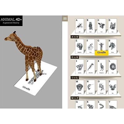 Bộ 31 thẻ động vật 4D cho bé
