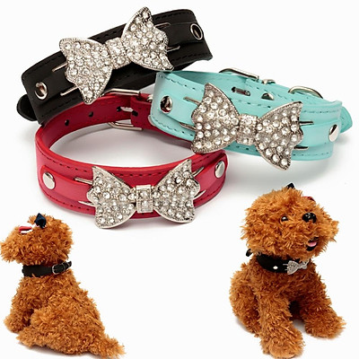 bling bling collar