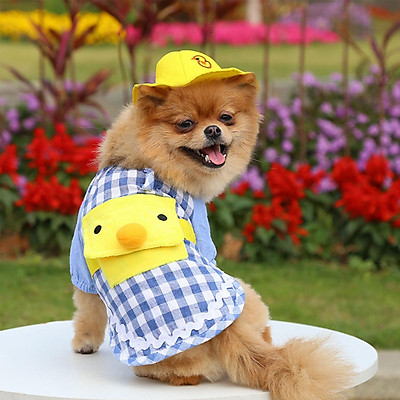duck dog hat