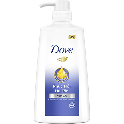 Combo Dove Phục Hồi Hư Tổn Dầu Gội 640g + Kem Xả 610g