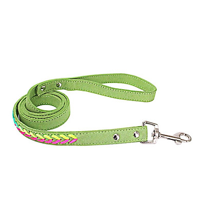 green dog leash