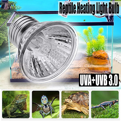 turtle uvb bulb