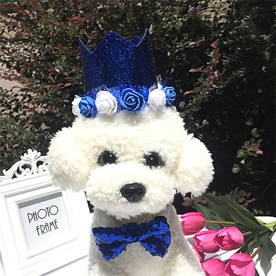 dog crown hat