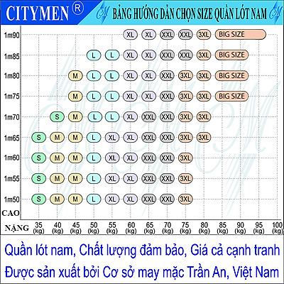 Combo 5 Quần lót nam nhiều lưng Hiệu CITYMEN