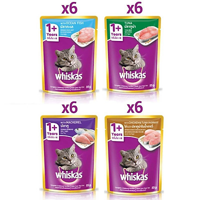  Combo 24 túi mix 4 vị thức ăn pate cho mèo lớn Whiskas 85g/túi